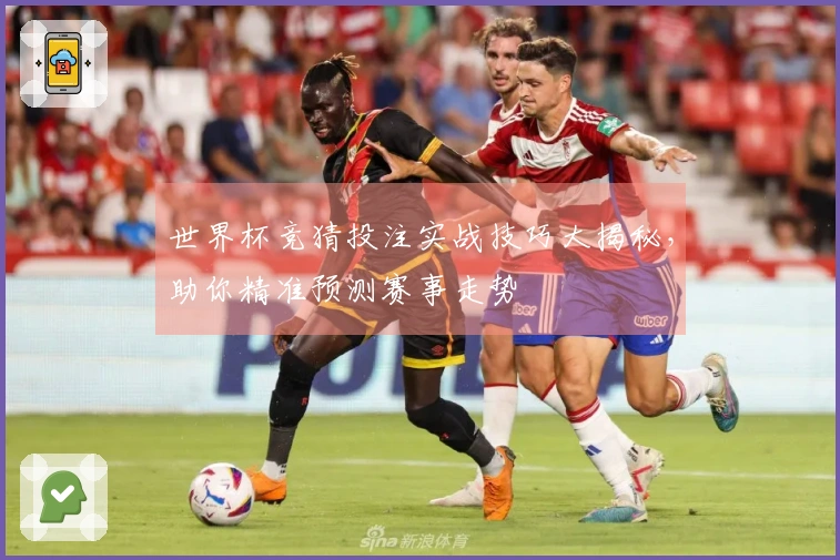 世界杯竞猜投注实战技巧大揭秘，助你精准预测赛事走势
