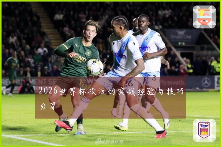 2026世界杯投注的实战经验与技巧分享