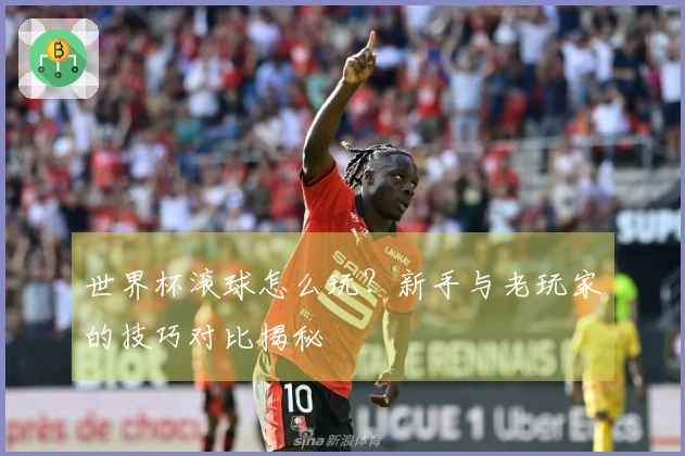 世界杯滚球怎么玩？新手与老玩家的技巧对比揭秘
