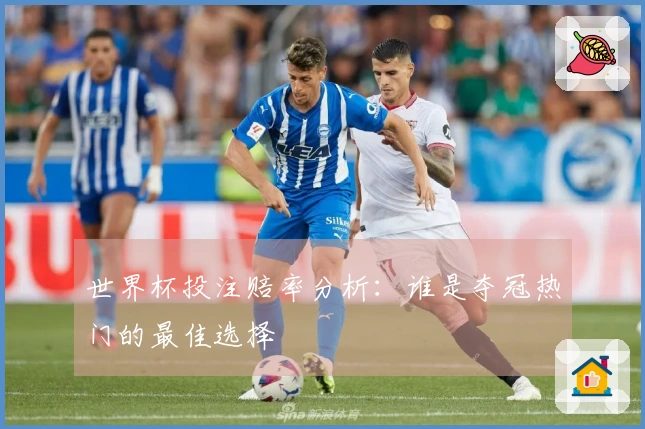 世界杯投注赔率分析：谁是夺冠热门的最佳选择