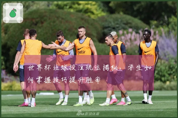世界杯让球投注玩法揭秘，学生如何掌握技巧提升胜率