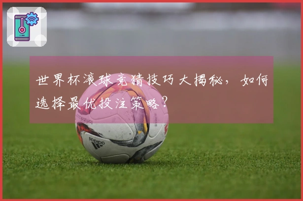 世界杯滚球竞猜技巧大揭秘，如何选择最优投注策略？