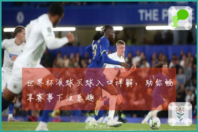 世界杯滚球买球入口详解，助你畅享赛事下注乐趣