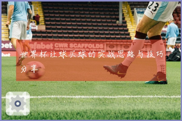 世界杯让球买球的实战思路与技巧分享