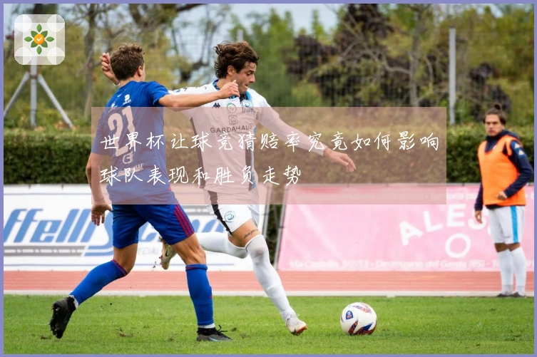 世界杯让球竞猜赔率究竟如何影响球队表现和胜负走势