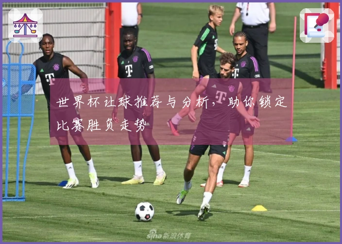 世界杯让球推荐与分析，助你锁定比赛胜负走势